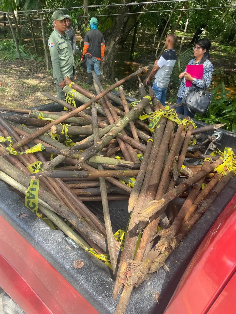 Investigan corte de árboles realizado por la alcaldía de SFM en el Paisaje Ecológico Riberas del Jaya