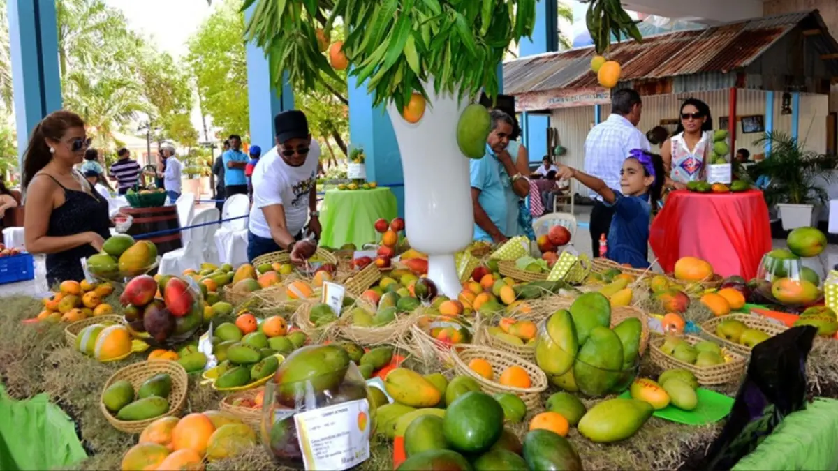 Festival de la Cosecha del Mango Dominicano inicia este 29 de mayo