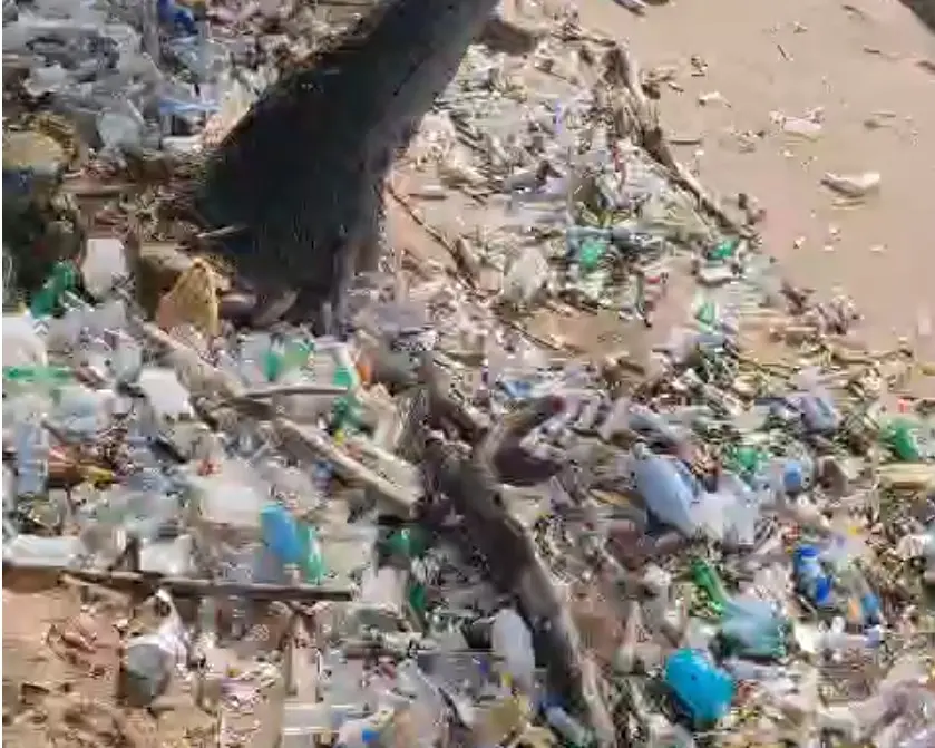 Migración realiza jornada de limpieza en Güibia