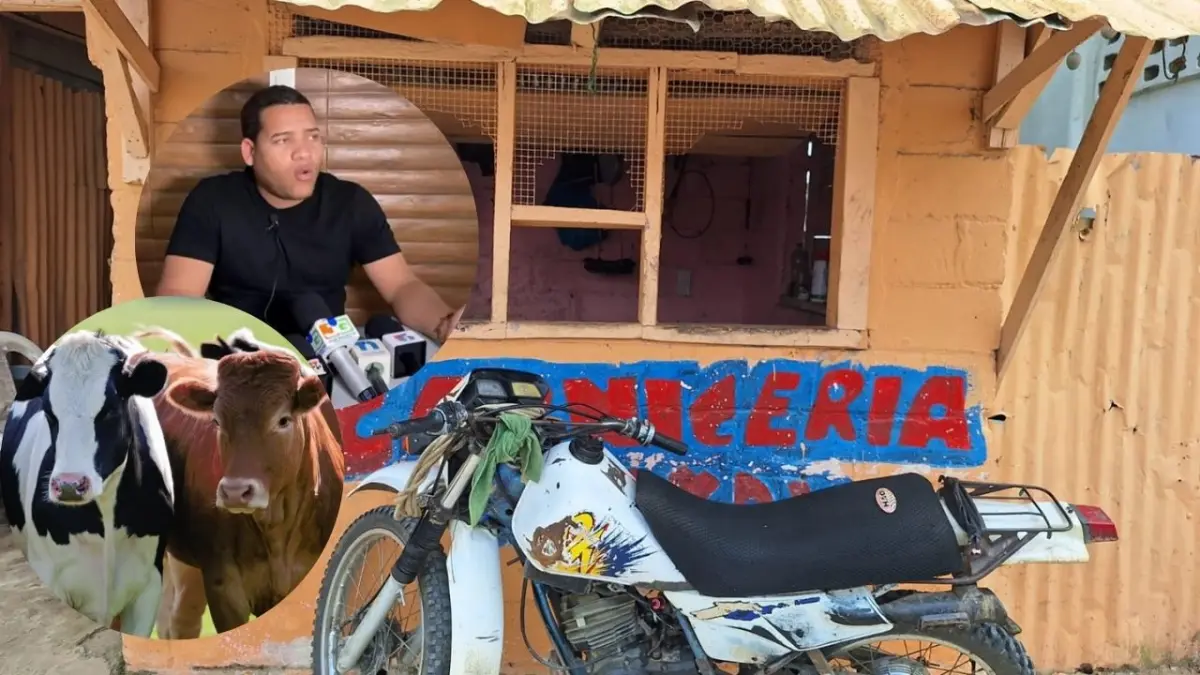 Vendió cuatro vacas, un vehículo e hipotecó un terreno: todo por la fiebre Mantequilla