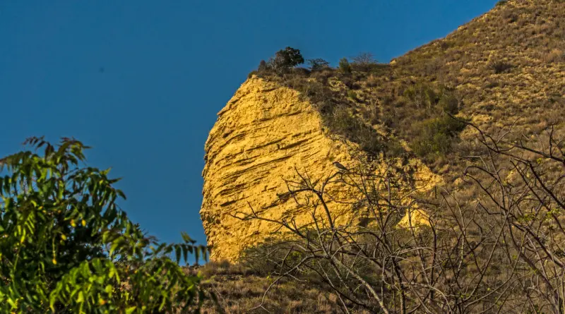 Medio Ambiente califica como grave desmonte de bosque seco en Montecristi
