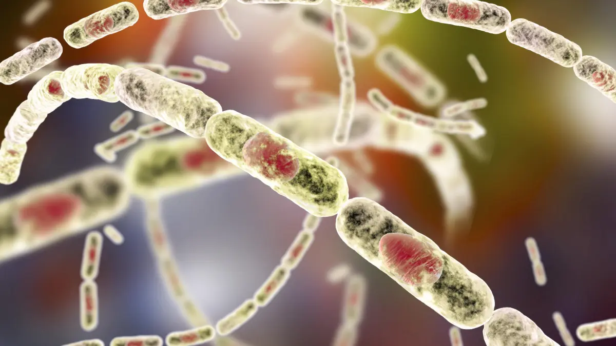 Ántrax: conoce la enfermedad, sus formas de transmisión y medidas de protección