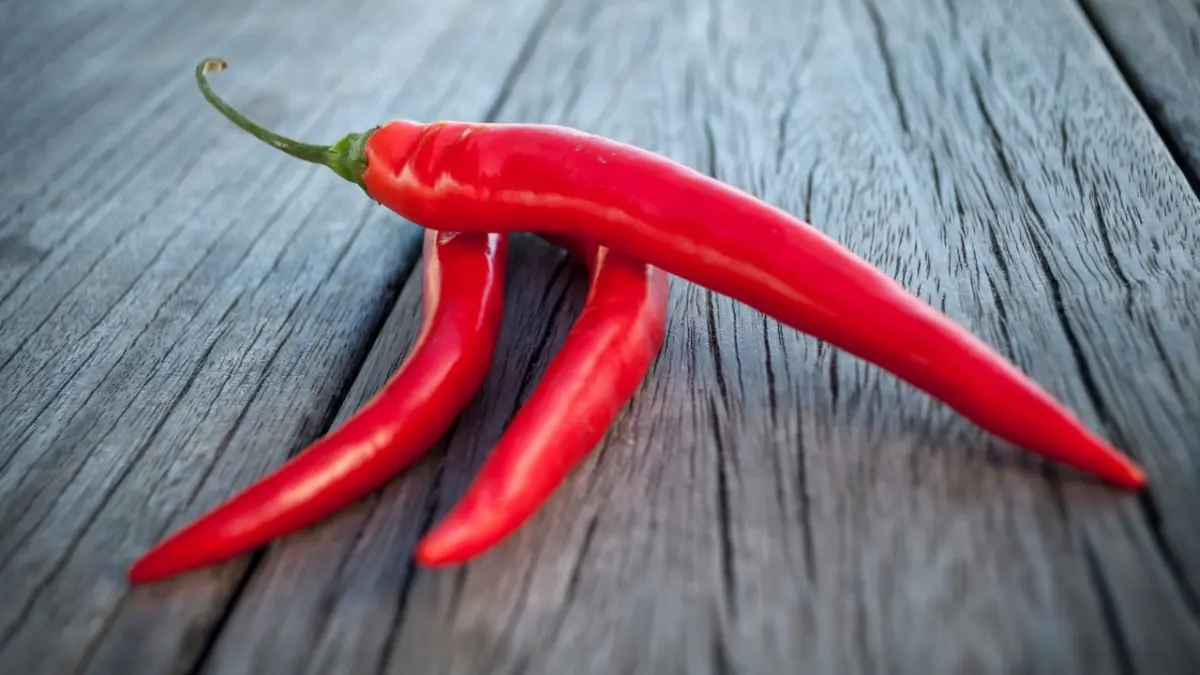 Chiles picantes podrían alargar la vida, según investigadores de Harvard