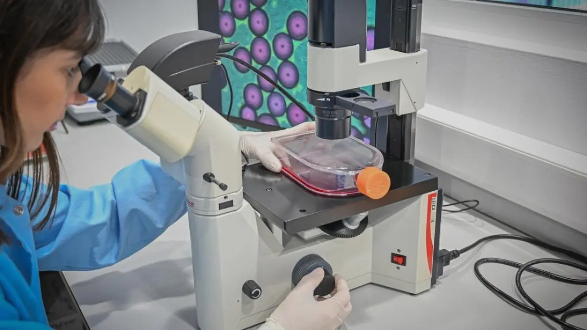 Reino Unido autoriza la venta de carne cultivada en laboratorio a partir de células