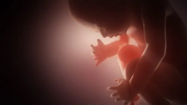 Hallan dos fetos en el armario de una joven, investigada por doble infanticidio en Italia