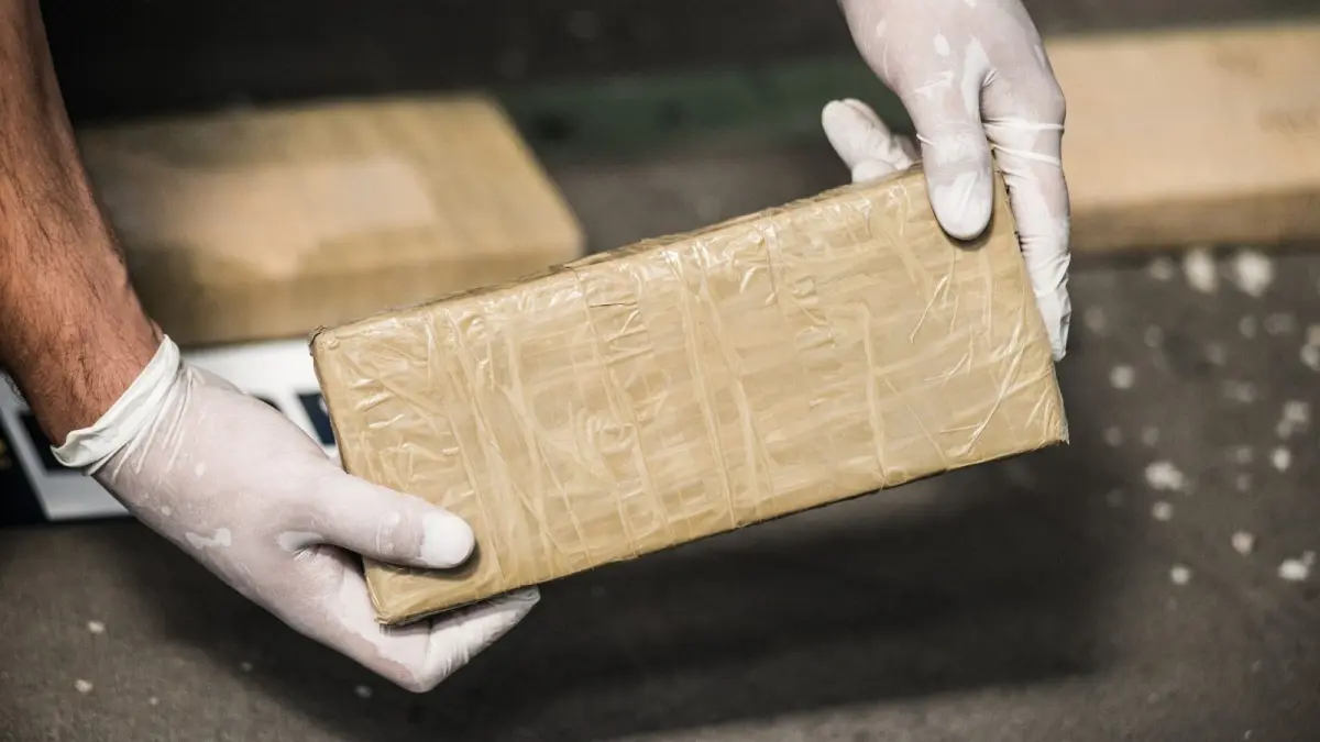 Policía de Ecuador halla 140 kilos de cocaína en operación en zona fronteriza con Colombia