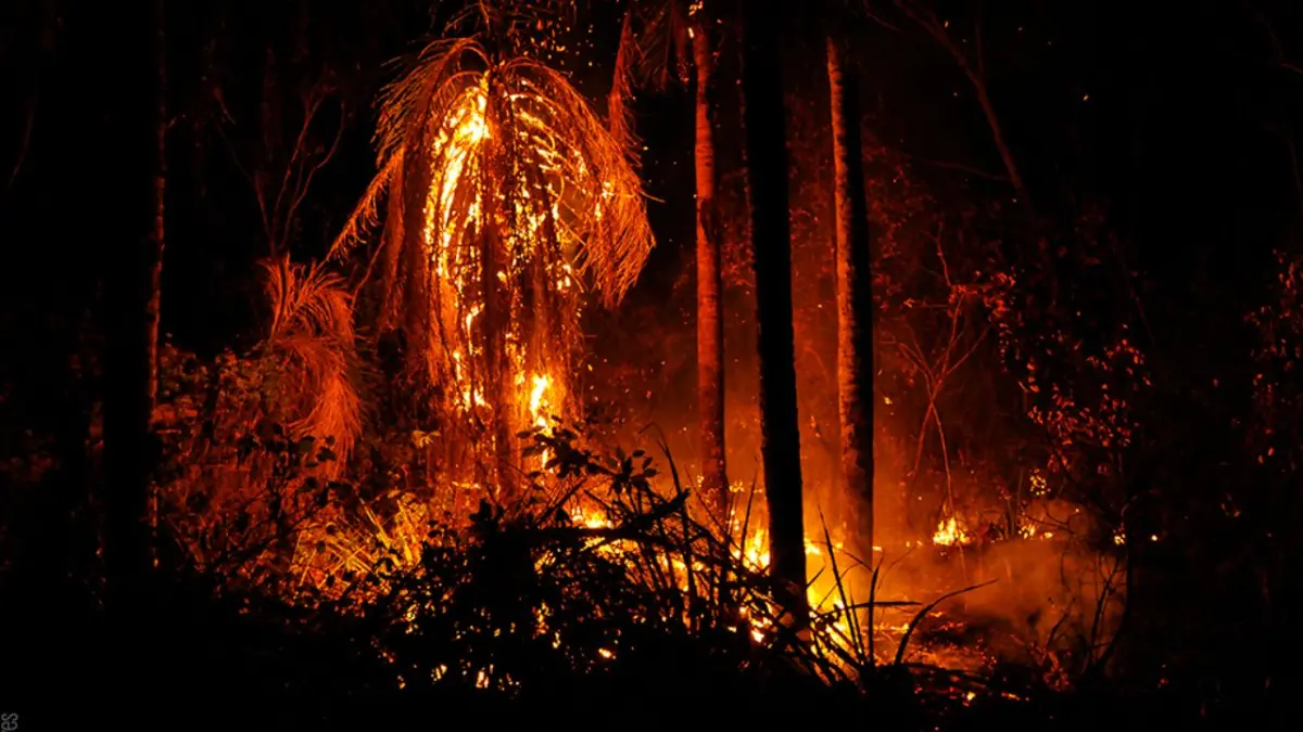 Se incrementan incendios forestales en Bolivia y el municipio de Roboré es el más afectado