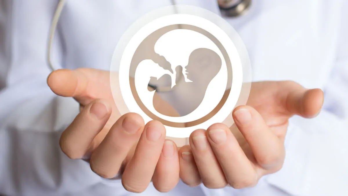 AI censura proyecto del Código Penal que excluye despenalización del aborto