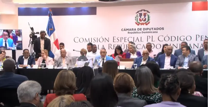 Más de 50 grupos presentan propuesta para el Código Penal