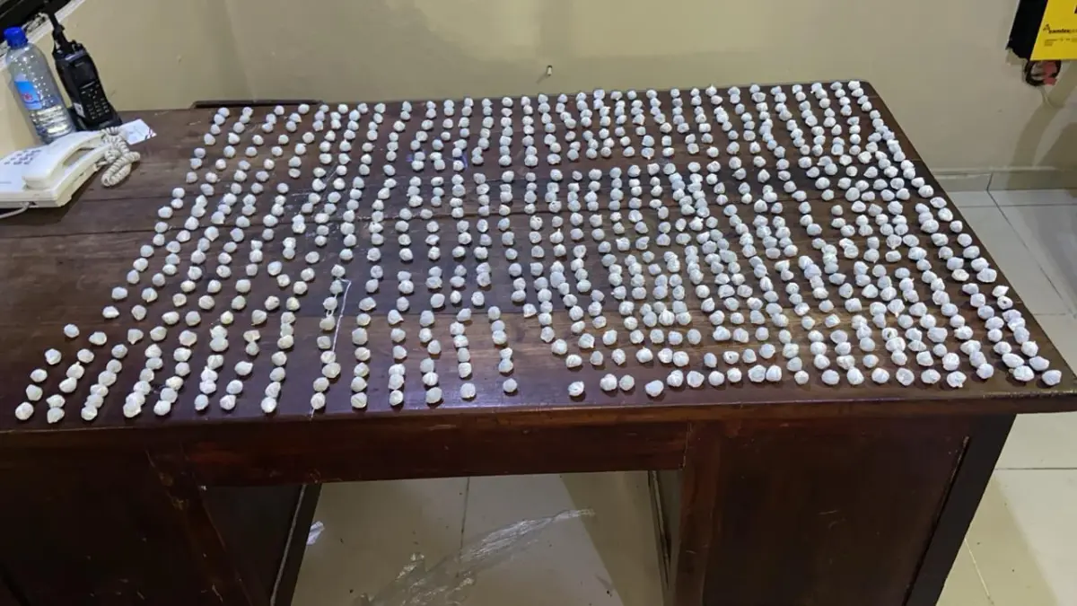 Ocupan más de 700 bolsas de marihuana en operativo en Constanza