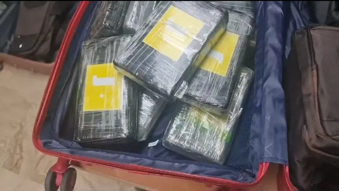 Frustran envío de 39 paquetes presumiblemente cocaína a Suiza