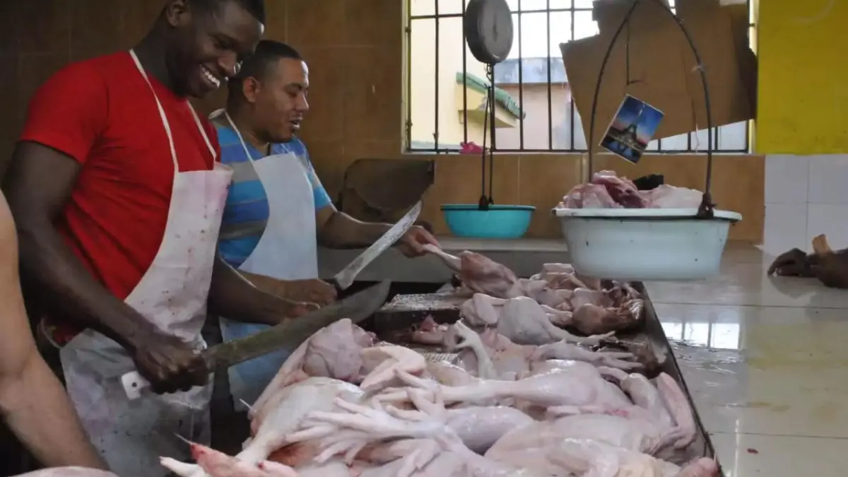 Distribuidores de pollo se quejan por escasez; uno dice que está recibiendo menos del 10 por ciento