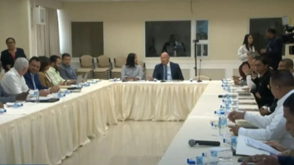 Comisión bicameral analizará contrapropuesta de congresistas del PRM al proyecto de reforma constitucional