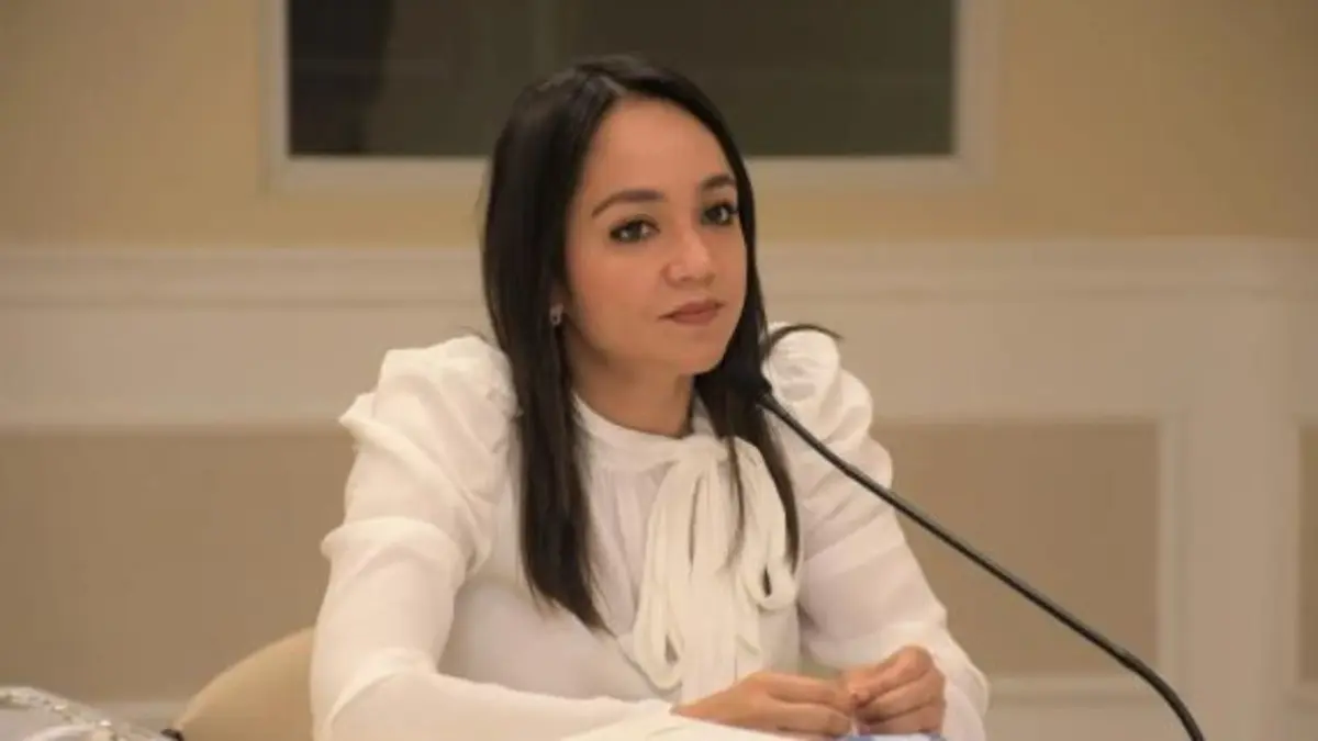 Seguridad ciudadana y reforma policial entre principales retos para Faride Raful en MIP