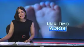 EN VIVO 17/8/2024 #SINFindeSemana