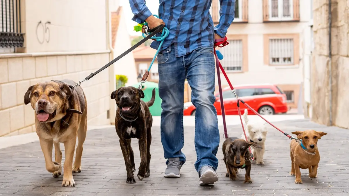 El 85% de los propietarios de perros creen que es su hijo, según estudio