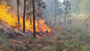 Controlado un gran incendio forestal en el sur de Ecuador que consumió 7.600 hectáreas
