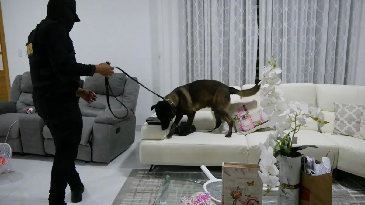 Operación Búfalo NK: Arrestan a 10 personas durante allanamientos simultáneos contra del narcotráfico