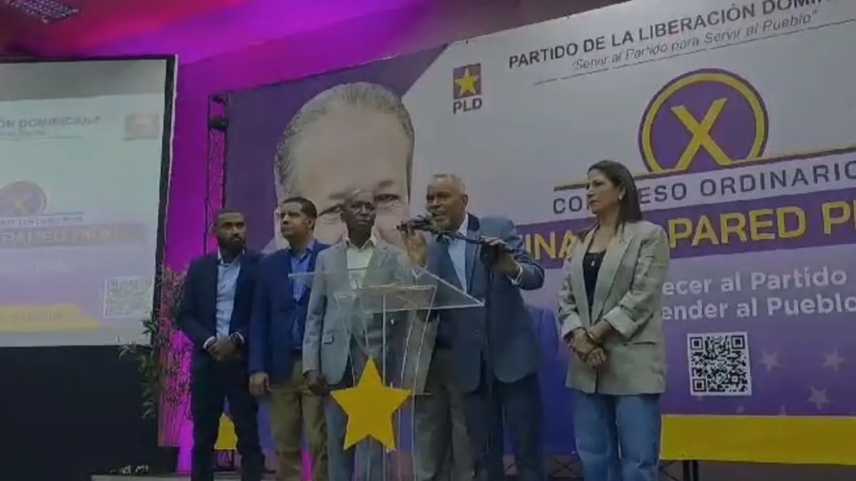 PLD dice sistema eléctrico en el país ha retrocedido 14 años