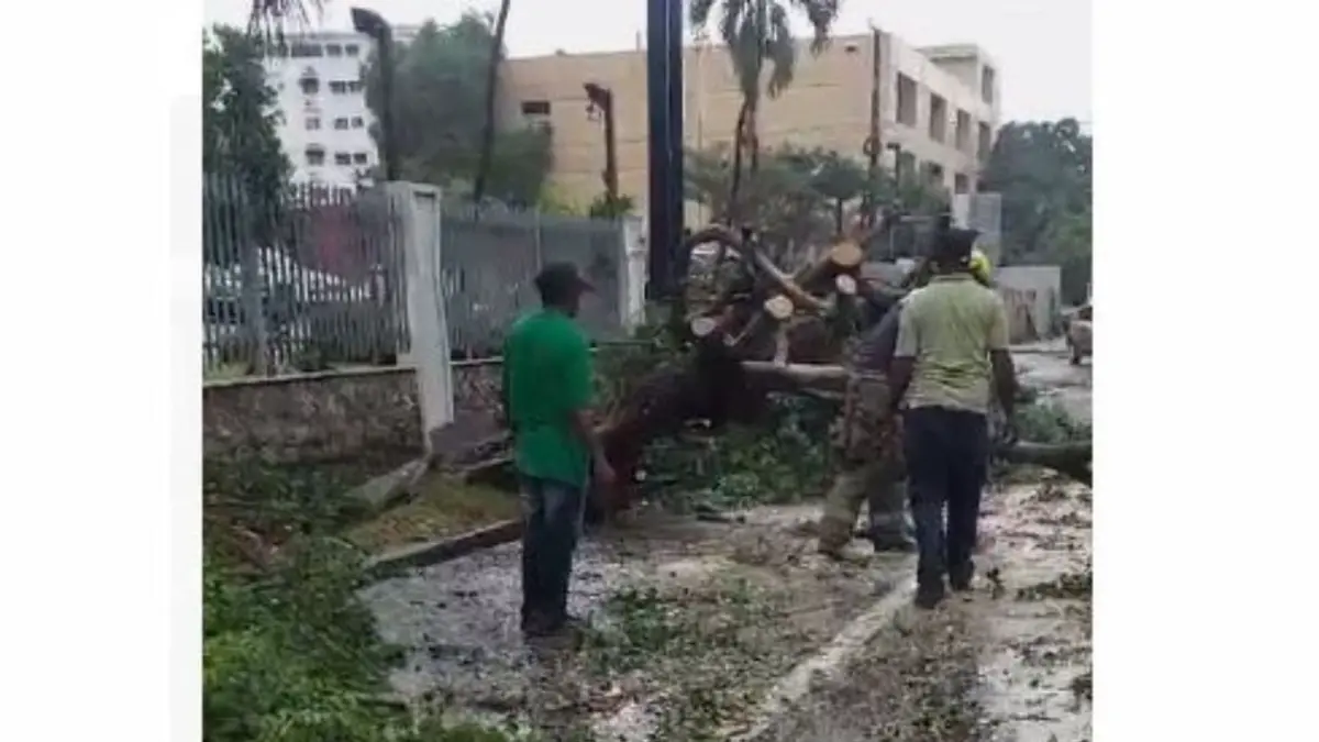 Lluvias derriban árboles y vallas en el Distrito Nacional