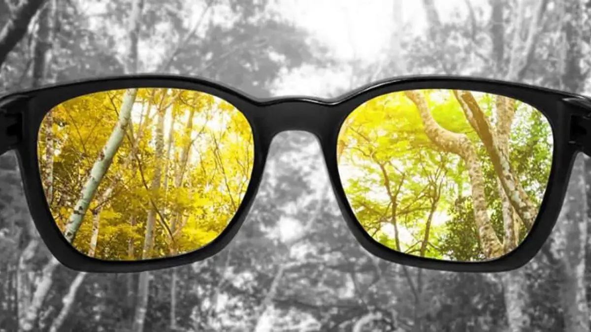 Daltonismo: una manera diferente de ver los colores