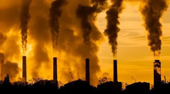 Combustibles fósiles y minería amenazan ecosistemas vitales del mundo, alertan en COP16