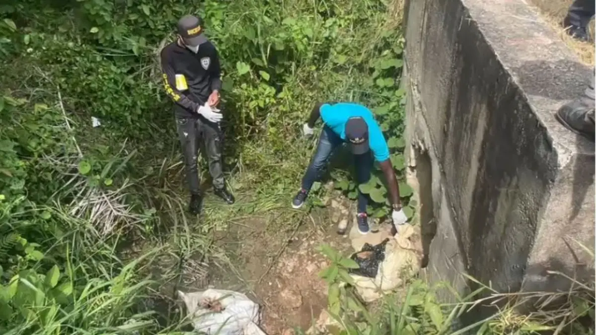 Confunden restos de cerdo con partes humanas en Sabana Grande de Boyá