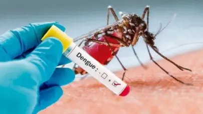 Salud Pública reporta una disminución del 93% en casos de dengue