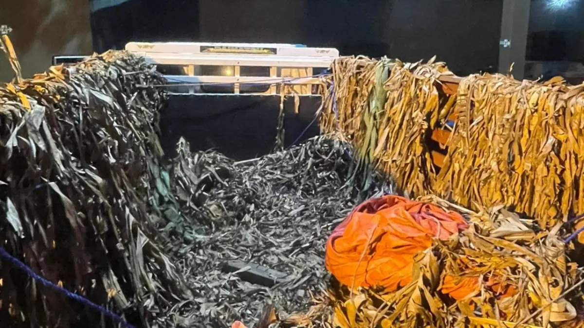 Ocultos bajo hojas de plátanos, detiene camión con 38 indocumentados