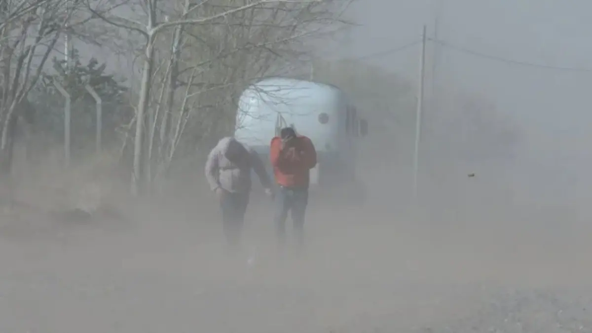 Siete personas murieron por un temporal con ráfagas de viento récord en São Paulo