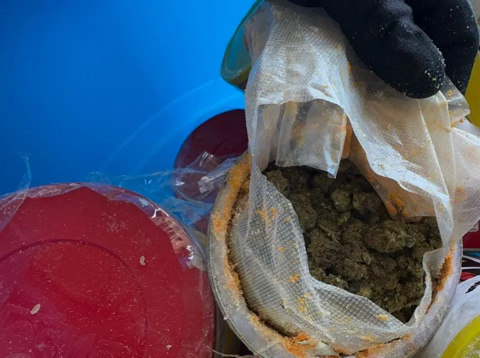 Apresan a dos y ocupan 29 paquetes de marihuana camuflados en latas de leche y té frío
