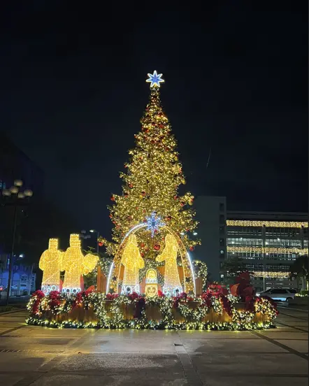 Banco Central enciende su tradicional árbol de Navidad