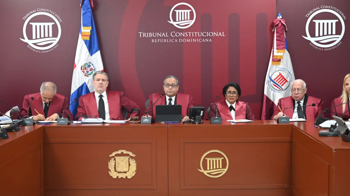 TC deja en estado de fallo 9 expedientes de acción directa de inconstitucionalidad