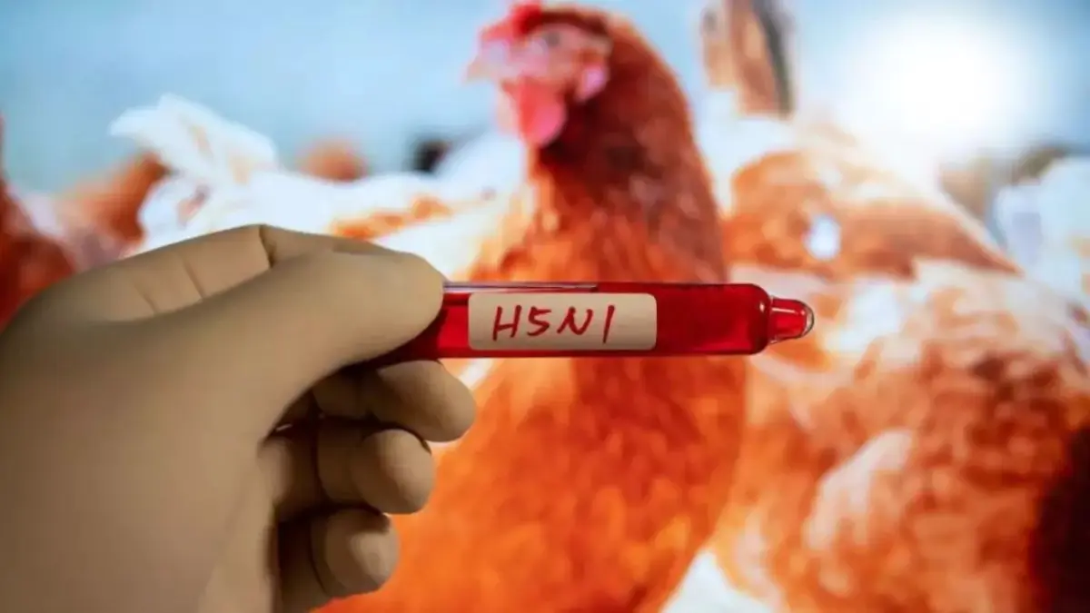 Detectan el primer caso de gripe aviar en un niño en Estados Unidos