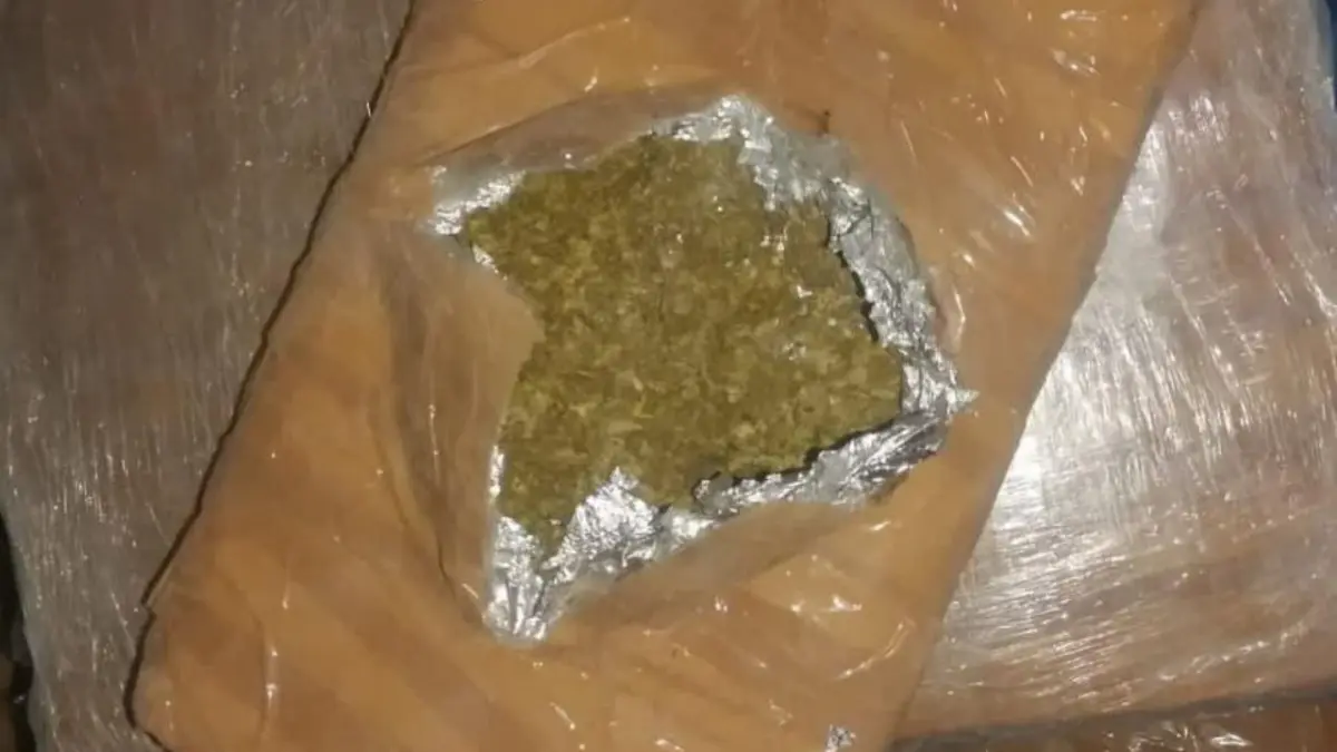 Incautan cerca de 100 kilogramos de marihuana en frontera con Venezuela