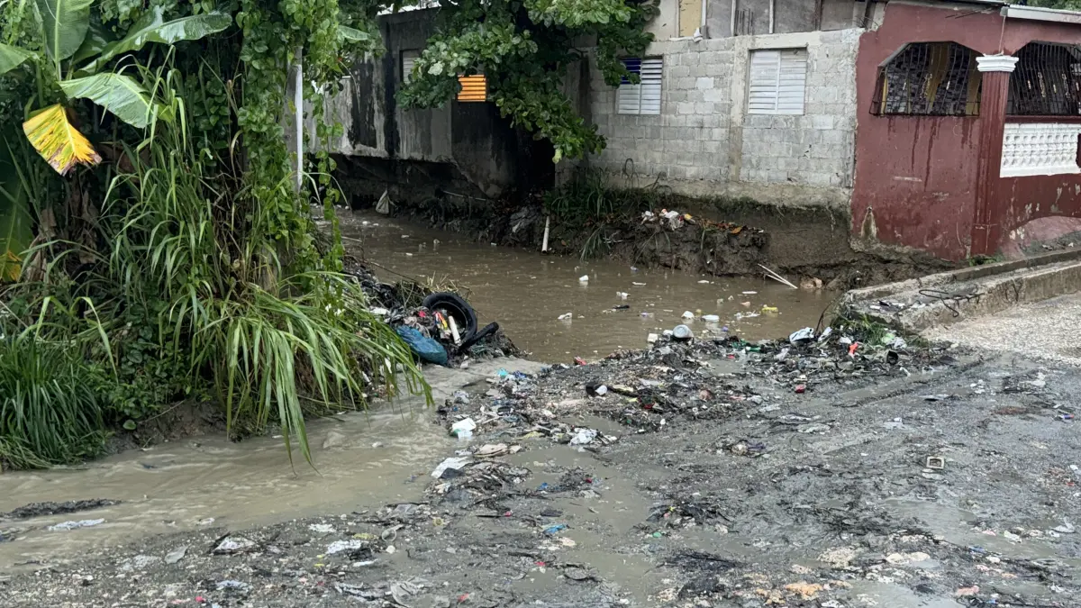 Residentes en Manoguayabo temen por inundaciones