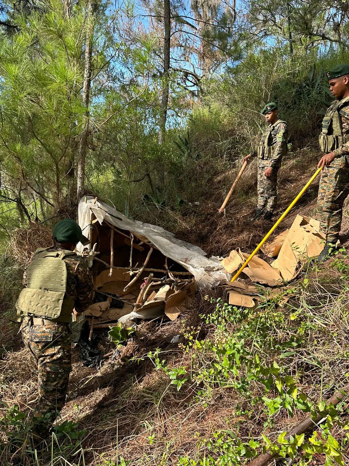 Militares destruyen casuchas de haitianos construidas en zonas montañosas de Constanza