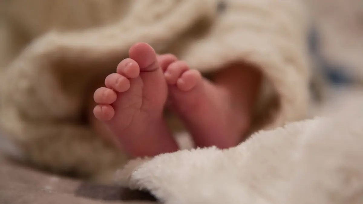 La criptorquídea: la anomalía genital más común en recién nacidos