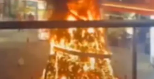 Queman un árbol de Navidad en China; algunos lo celebran