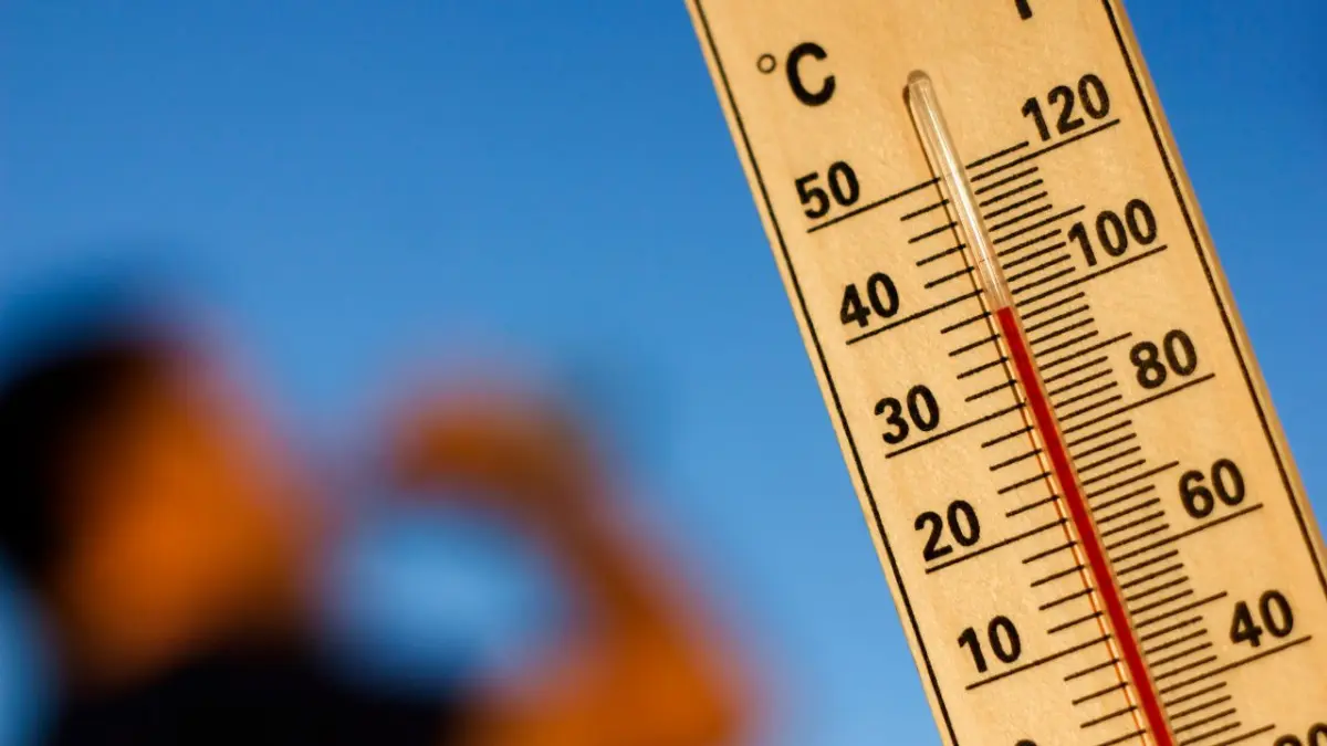 El cambio climático añadió una media de 41 días de calor peligroso en 2024, según informe