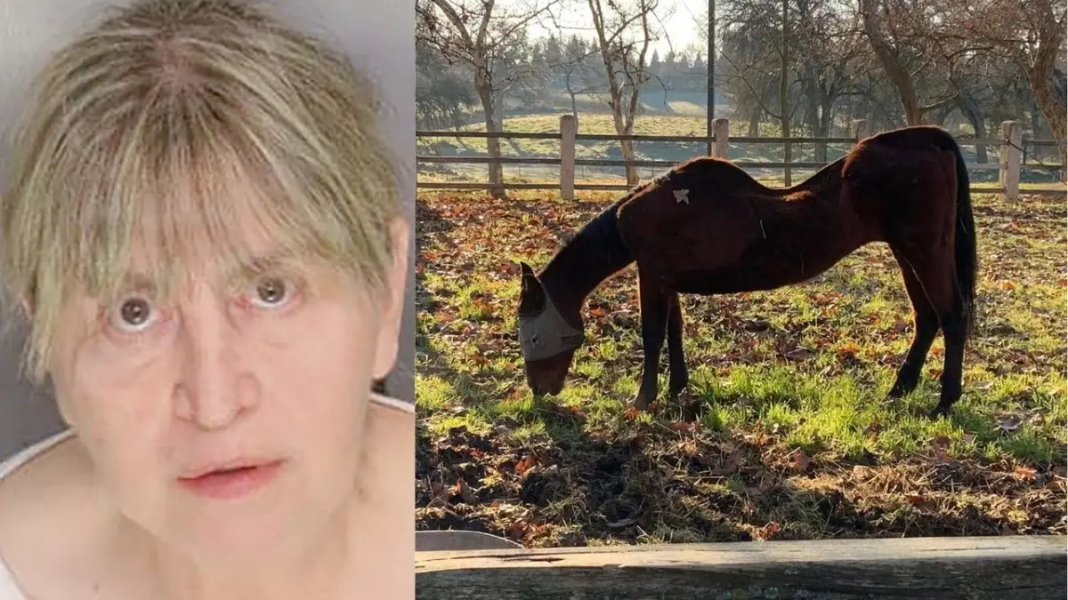 Arrestan mujer que provocó la muerte de al menos 27 caballos en California
