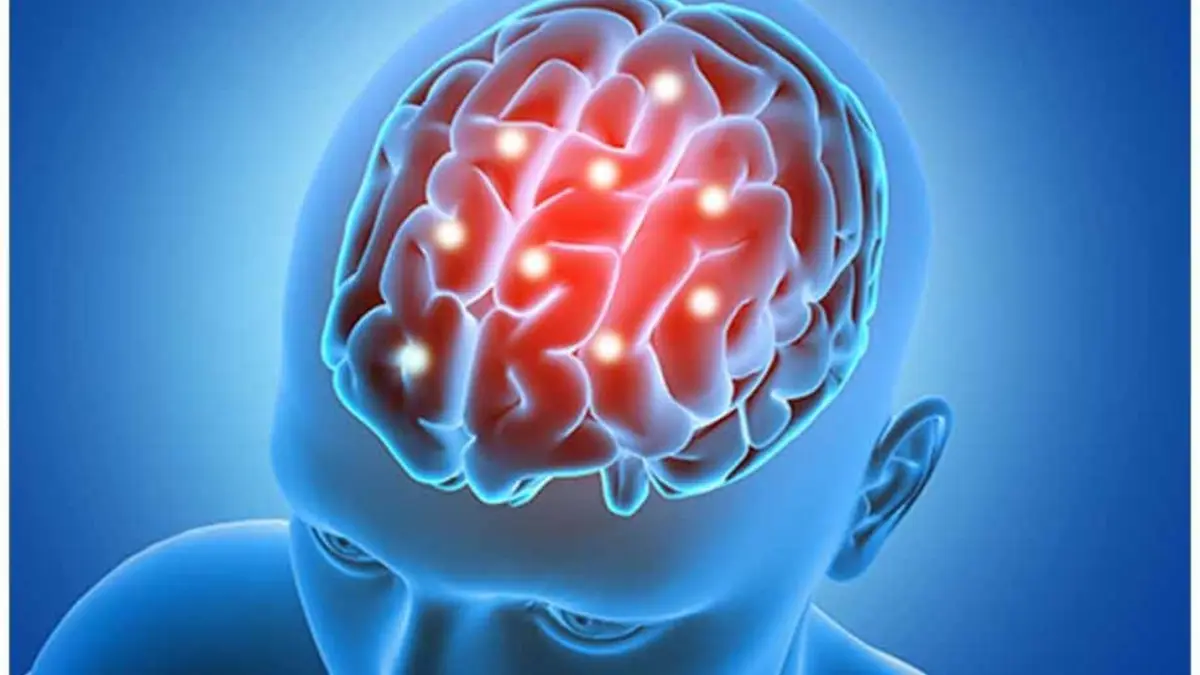 Descubren el punto caliente del cerebro donde se produce el envejecimiento