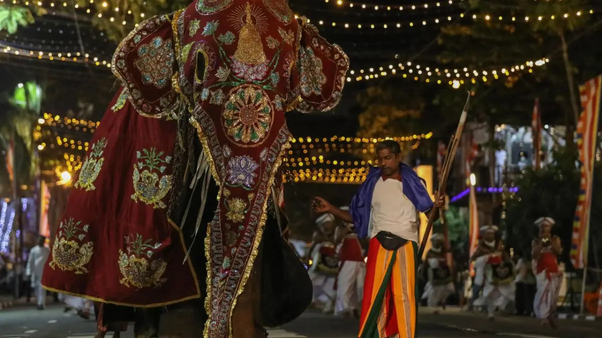 Al menos 23 heridos por el ataque de un elefante durante un festival en el sur de la India