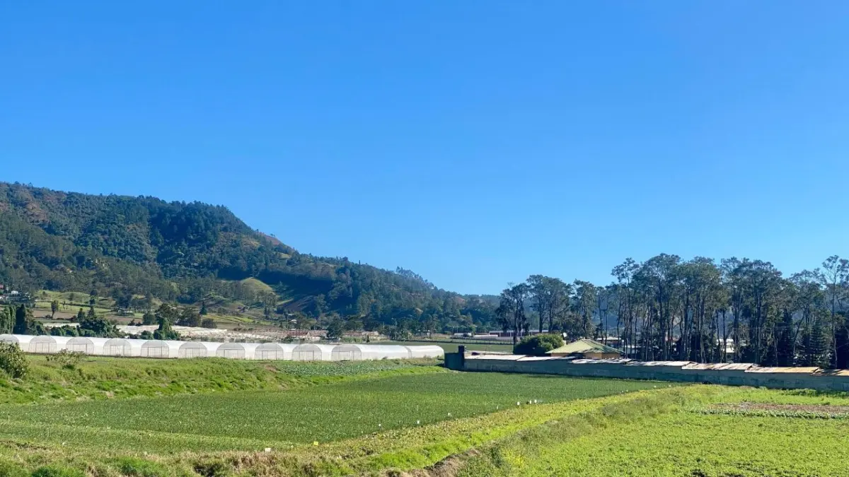 Bajas temperaturas se sienten en Constanza
