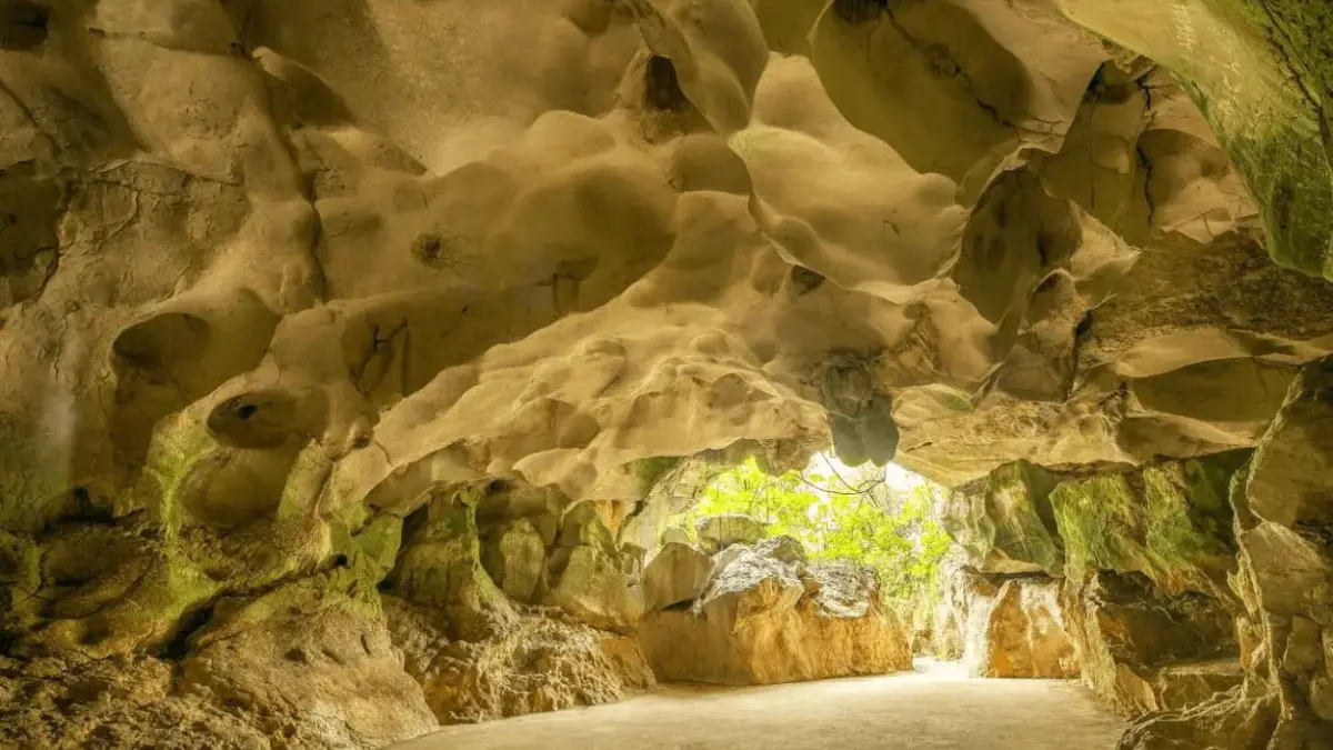 Exigen acción inmediata del gobierno para proteger las Cuevas del Pomier de la minería ilegal 