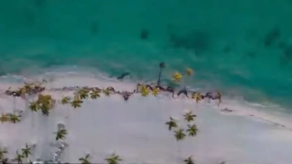 Mitur presenta campaña de marca país en el marco de FITUR 2025