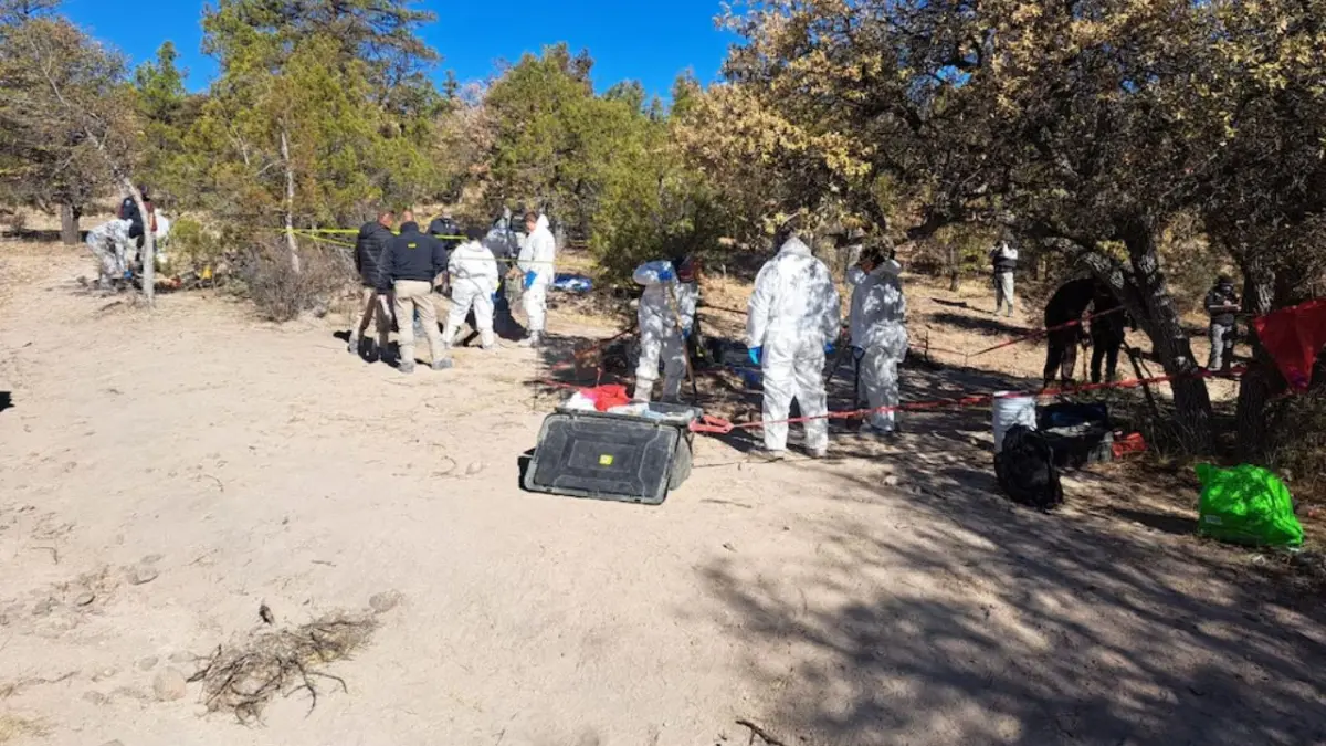 Hallan 10 cuerpos en fosa clandestina en Chihuahua; ocho estaban desmembrados