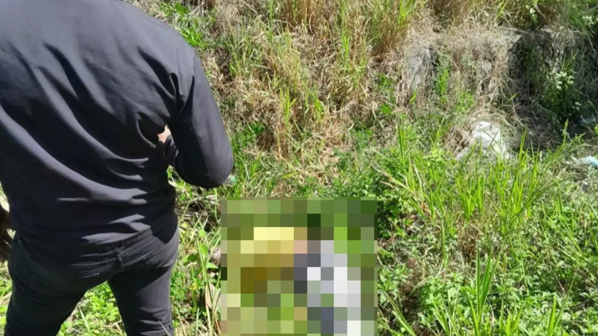 Encuentran cadáver atado de manos y con un tiro en la cabeza en la autovía del Nordeste