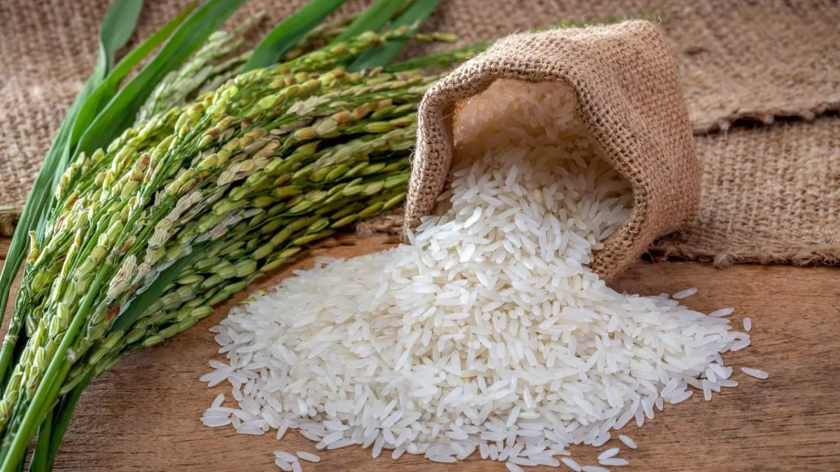 Pro Consumidor asegura precios del arroz se mantienen estables y hay abastecimiento suficiente