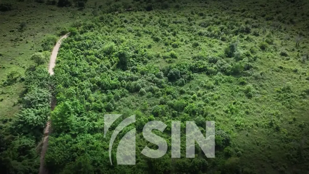 Ministerio Público deposita medida de coerción contra agencia inmobiliaria RE/MAX ONE